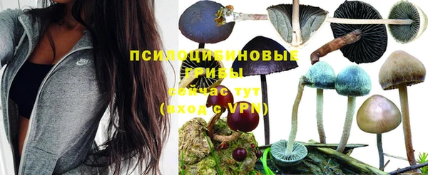 кокаин премиум Бородино