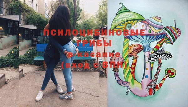 PSILOCYBIN Бронницы