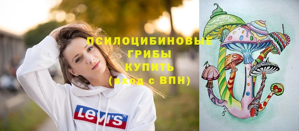 PSILOCYBIN Бронницы