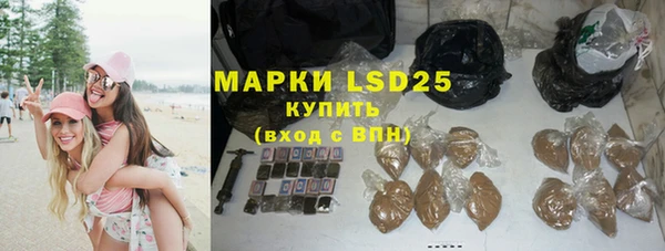 PSILOCYBIN Бронницы