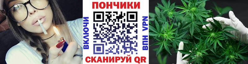 Купить закладки Кондрово Марихуана сатива
